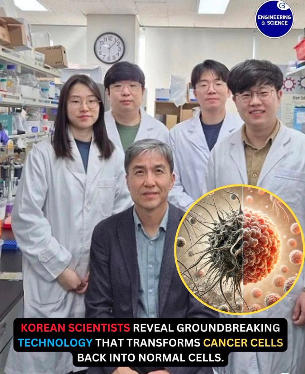 Хорт хавдрын эсийг эрүүл эс болгох судалгааны багийнхан энэ юм байна гайхалтай!
Профессор Кванг-Хюн Чо тэргүүтэй KAIST-ийн эрдэмтэд бүдүүн гэдэсний хорт хавдрын эсийг устгахын оронд эрүүл эс шиг ажиллахаар программчилсан шинэлэг эмчилгээг бүтээжээ. Энэхүү шинэлэг арга нь молекул