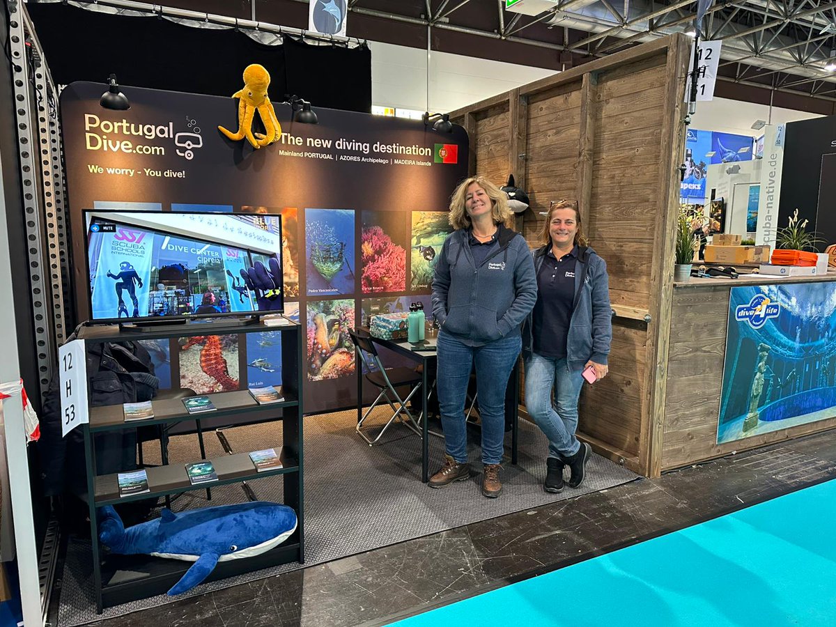 PortugalDive's tweet photo. Come meet our team at @nonstopboot ! Discover Portugal’s stunning dive destinations and plan your next underwater adventure! 🤿🪼🐬

Find us at Hall 12, Booth H53! 🫧🫧🫧

#PortugalDive #Boot2025 #ScubaDiving #DivePortugal #UnderwaterAdventure #BootShow https://t.co/CRwUPMxPNT