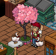 USDF Habbo tweet media