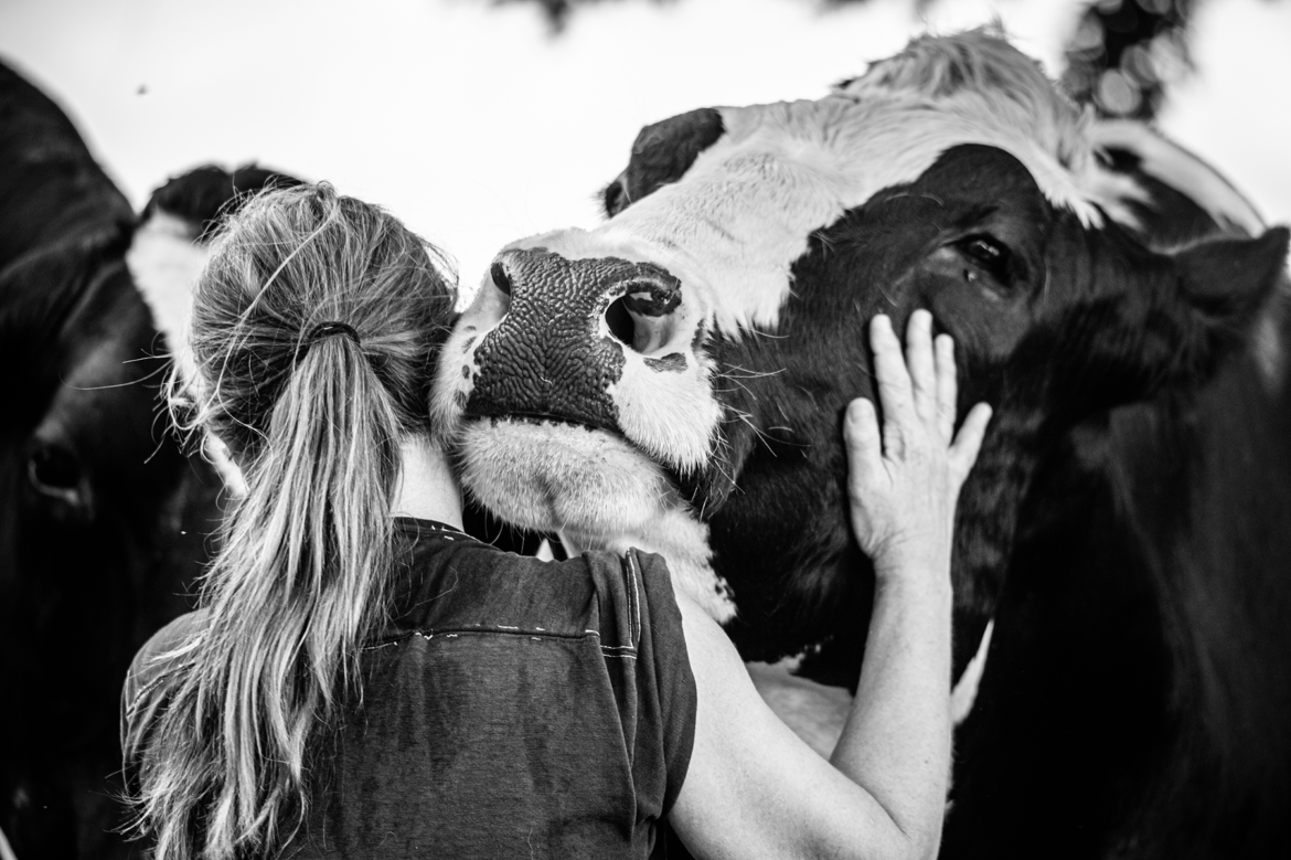 What if meat were more than food? 

In Interpreting Meat, Teddy Duncan Jr. explores how cultural, economic &amp; psychological forces shape our view of meat &amp; animals.

Read our exclusive interview to rethink meat as a commodity: sarx.org.uk/articles/books…

#AnimalRights #Vegan #Ethics