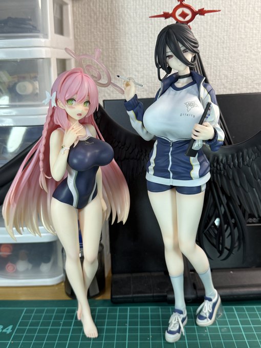 そういえばトリニティは水着も体操服も指定だからハスミも当然この水着を着るんだよなあ…こうして立体物になってると妄想が捗っていいね

……?
ハスミがこの水着を??????? 