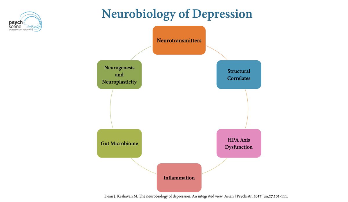 🧵The Neurobiology of Depression 

1/8

“A unified theory of depression conceptualises MDD as a matrix of genetic, epigenetic, and environmental factors that interact with personality vulnerabilities that predispose an individual to information processing biases, stress