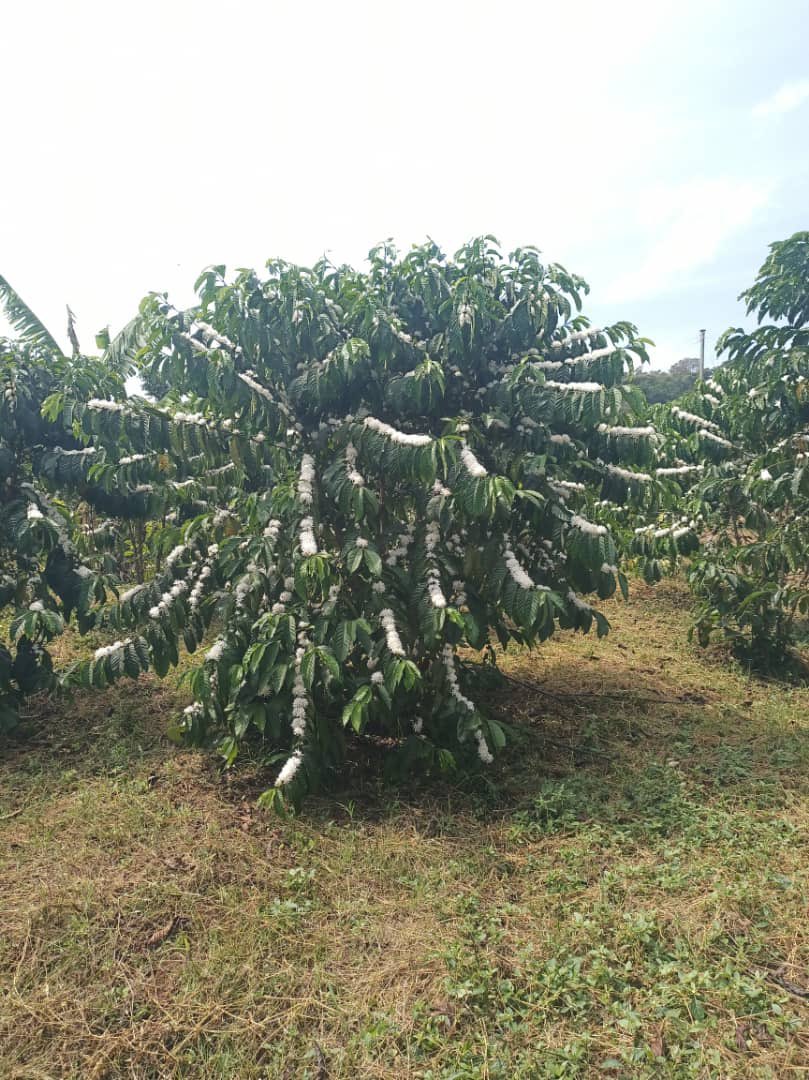 Snr. Cde. Robert Kabushenga tweet media