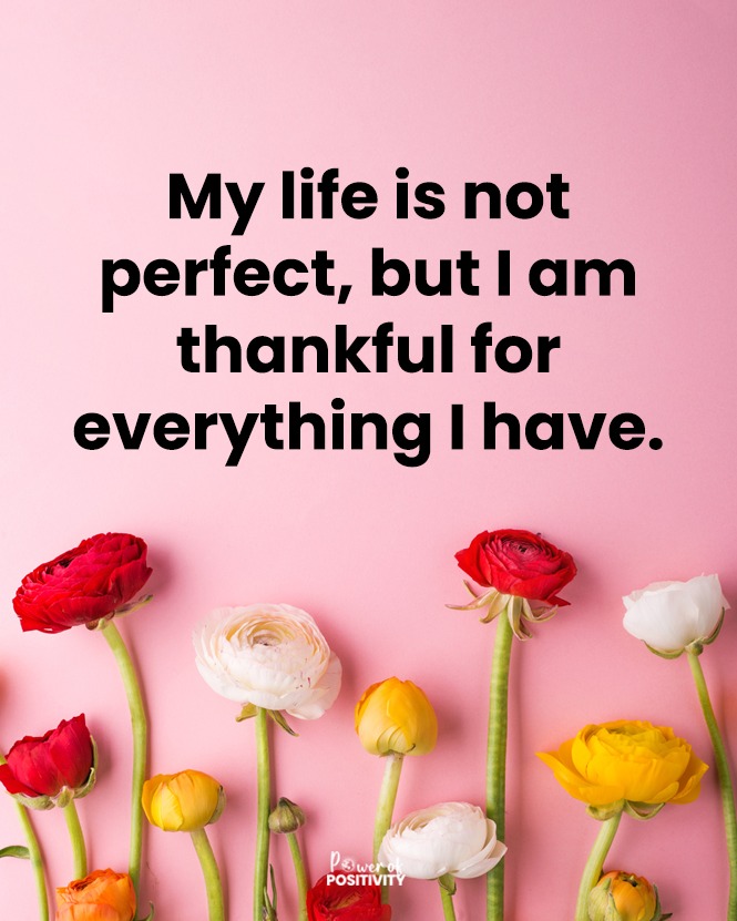 Power of Positivity tweet media