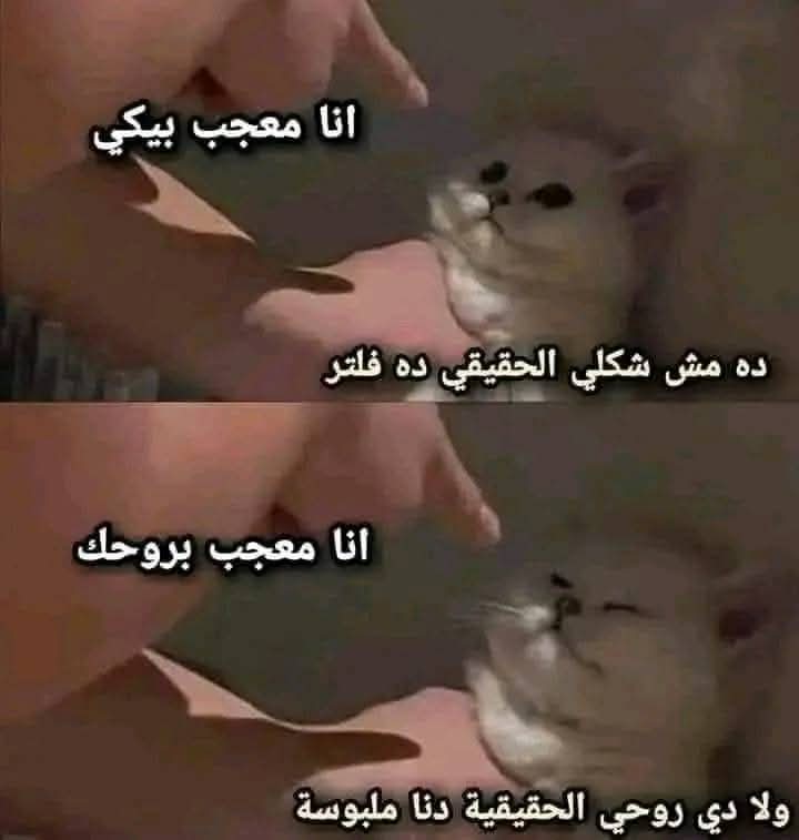  tweet picture