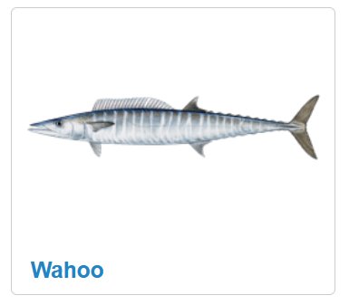 Mickey!! tweet media