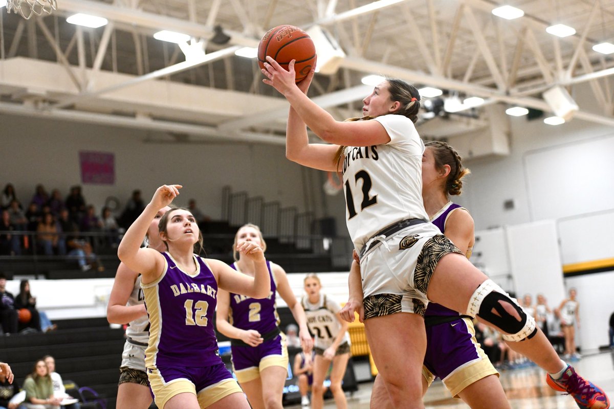 Press Pass Sports tweet media