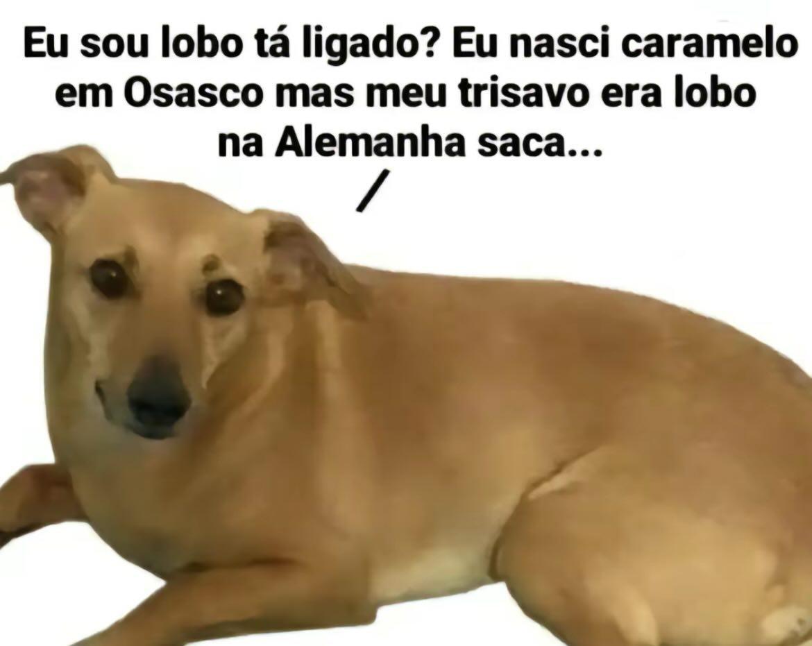 Flavio H S Saraiva (@vrim) on Twitter photo 