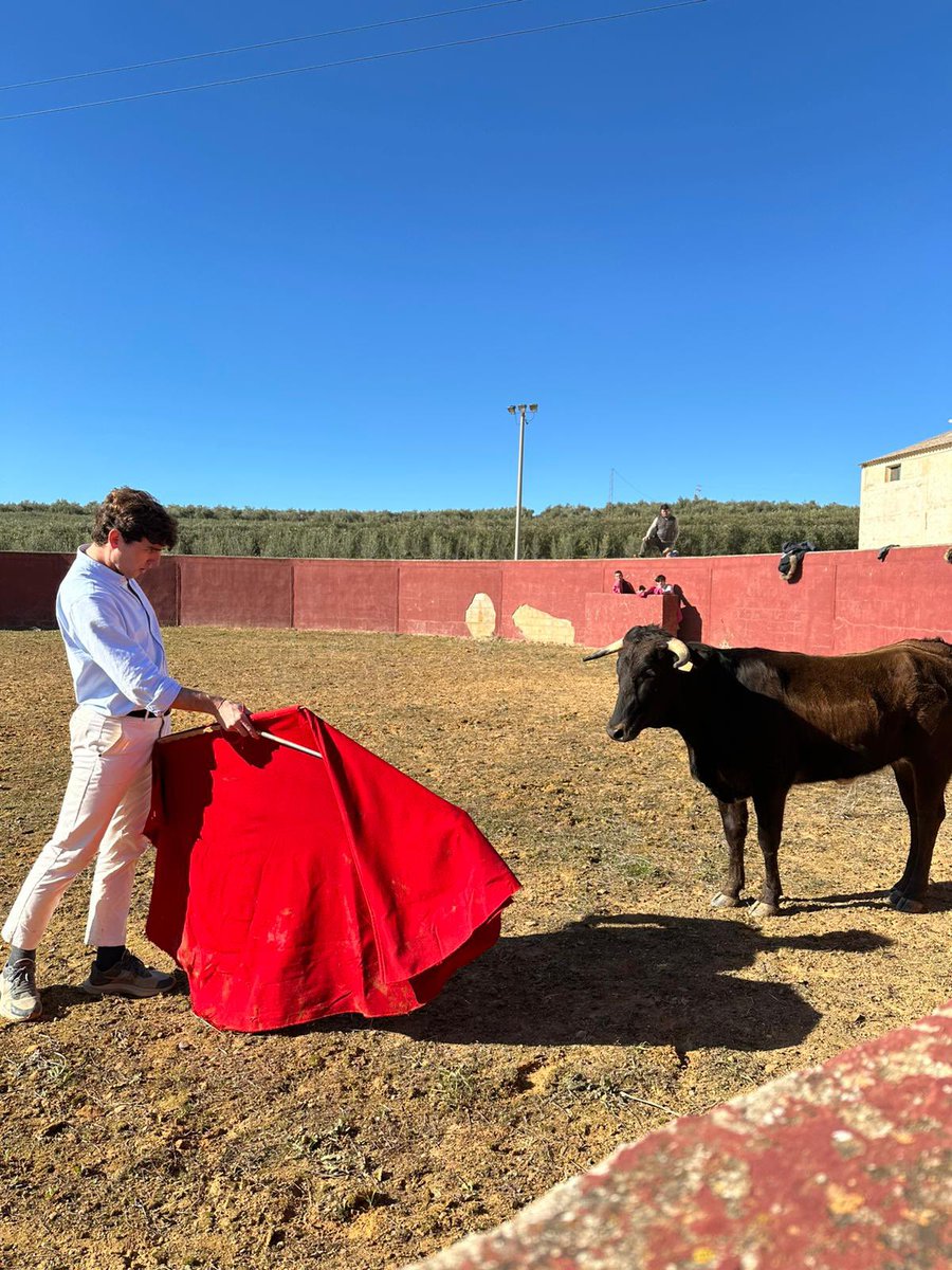 Romanpepe's tweet photo. Buena mañana de retienta  con Javier Orozco y alumnos de la Escuela Taurina de Ronda. https://t.co/RzdSvqCJQt