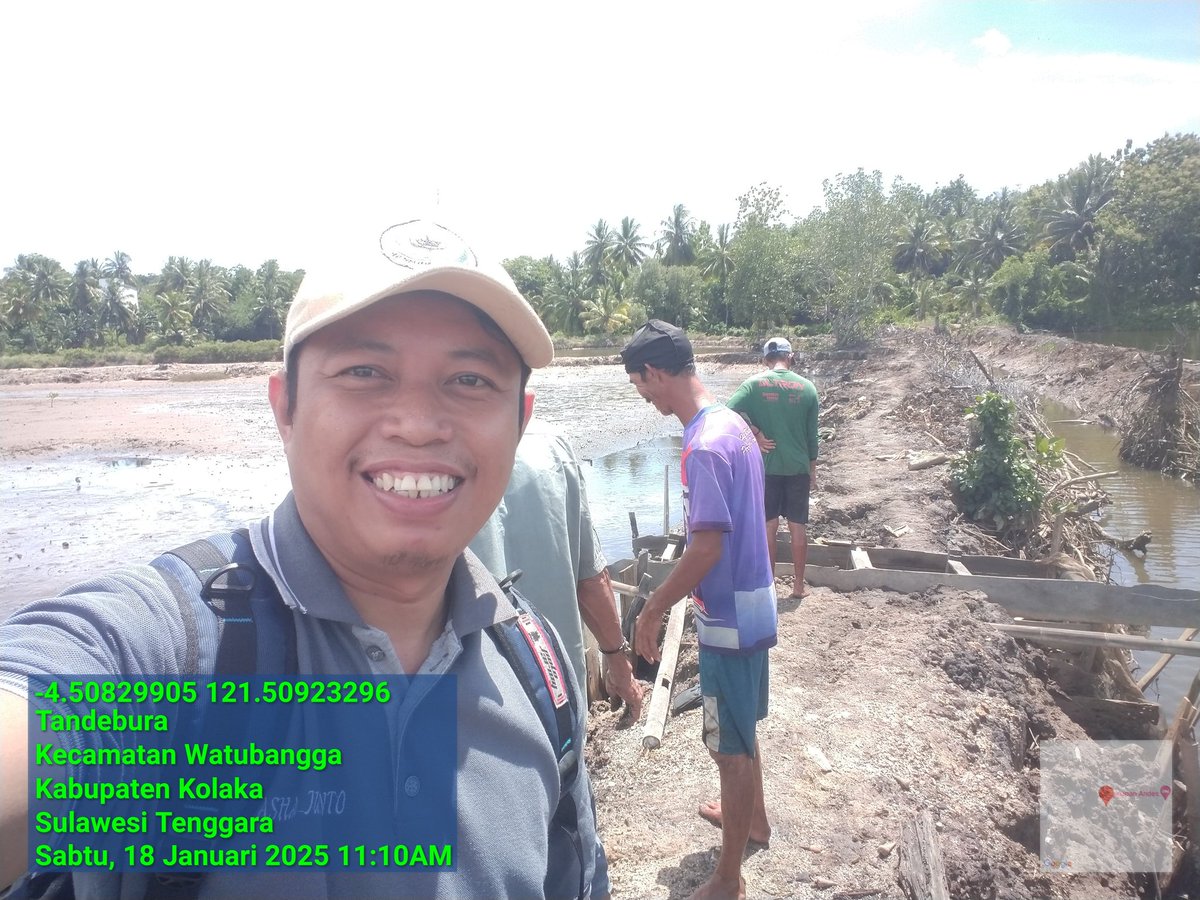 ashar_junianto's tweet photo. Sabtu (18/1/2025),  Ashar Junianto, S.Pi, Luhkan Kab. Kolaka, di Pokdakan Berbudi Muda  (a.n Anshar) Kel. Tandebura, melaporkan produksi Udang Vaname, sebanyak 170 kg, size 100 an, luas tambak 0,5 ha harga 39.400/kg.

#GiatLuhkanSatminkalMaros #Kolaka #panen  @BRPBAP3_Maros https://t.co/KXEp8LrDcI