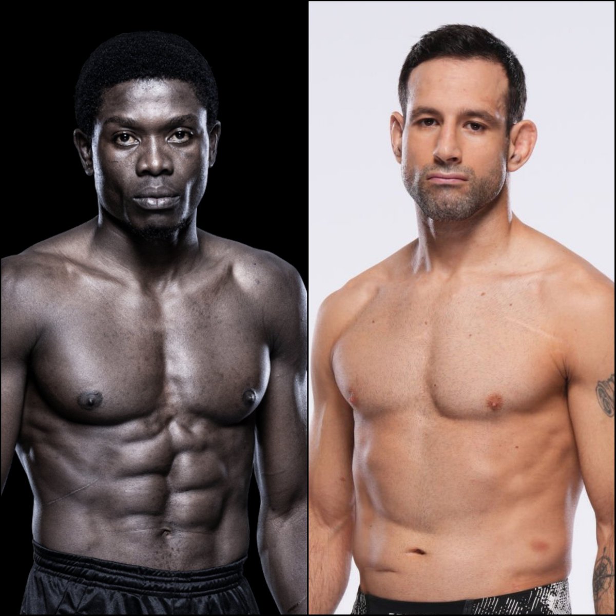 Marcel Dorff 🇳🇱🇮🇩 tweet media