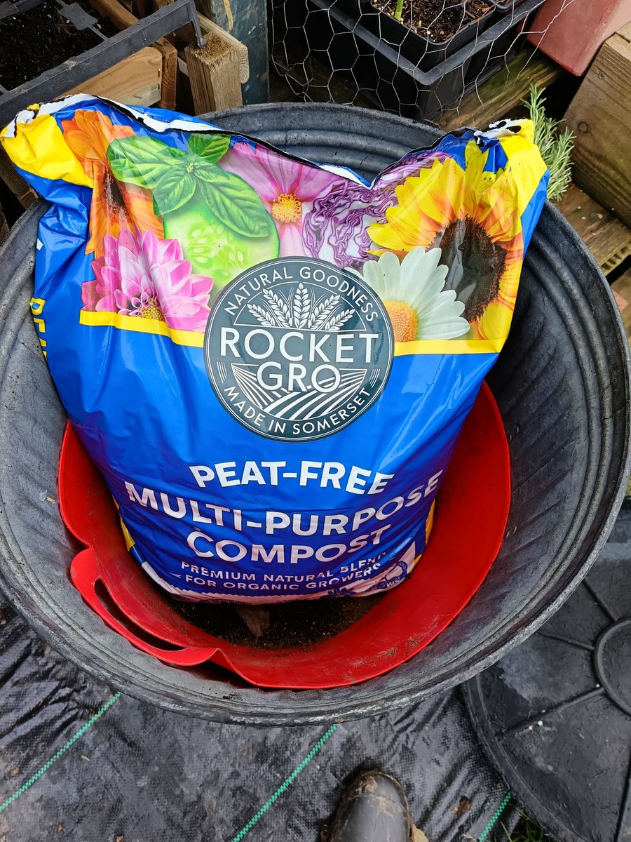 ngsgardenhook's tweet photo. I'm trialling this multi-purpose #peatfreecompost from #RocketGro https://t.co/bvSxAvPFUW
Potted up some rooted rosemary cuttings.
The compost looks lovely no nasty smell and easy to handle. #growpeatfree https://t.co/mmeTtlzTuO
