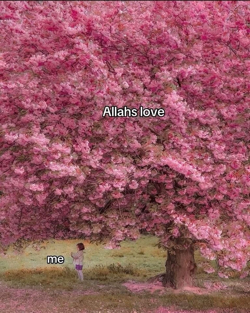 Oh beautiful soul, Allah love you