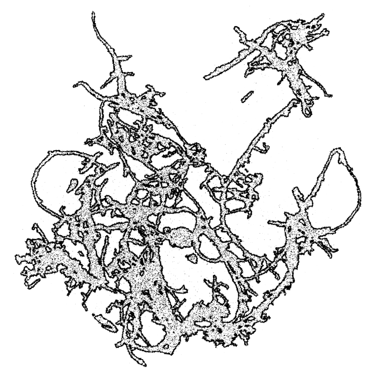 clair, nouvelle ère (?) tweet media