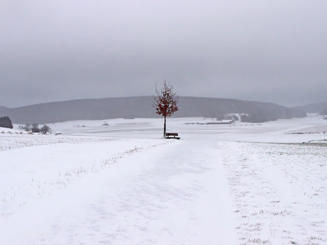 Überall sind wir von Wundern umgeben, wenn wir die Augen haben sie zu sehen. Ernst Hauschka