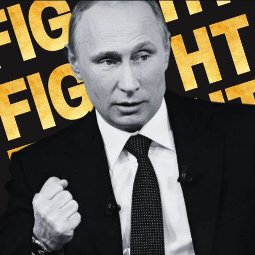 xrp lover $NOX tweet media