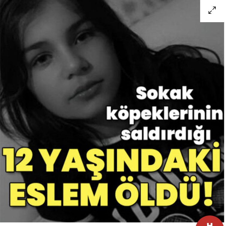Aylardır Narin’i ve onun katillerinin kim olduğunu konuşuyoruz.
Peki köpeklerin parçalayarak öldürdüğü 12 yaşındaki Eslem’i de konuşacak mıyız?
Size soruyorum devlet.
Şarkıcı ve gazeteciler.
Katil belli değil mi?
Hayır o köpekler değil. Onları hala dışarıda tutup besleyenler.