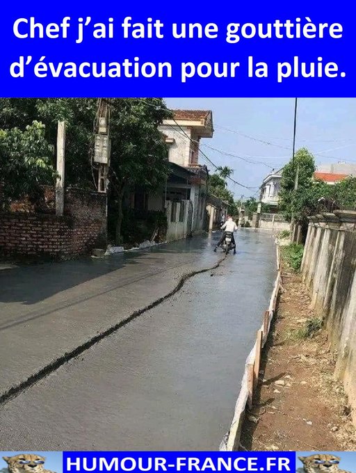 text alternatif