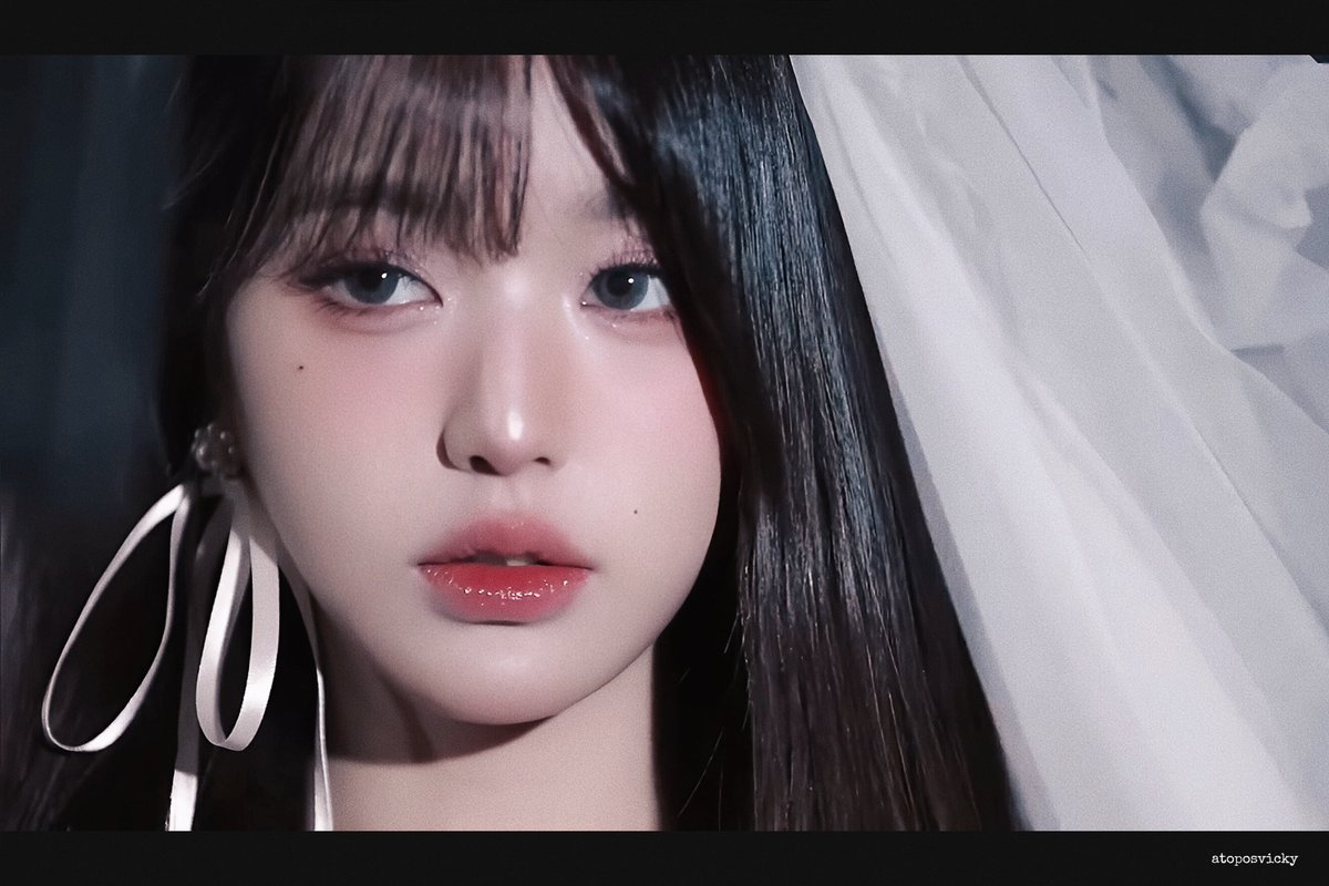 토끼장 tweet media