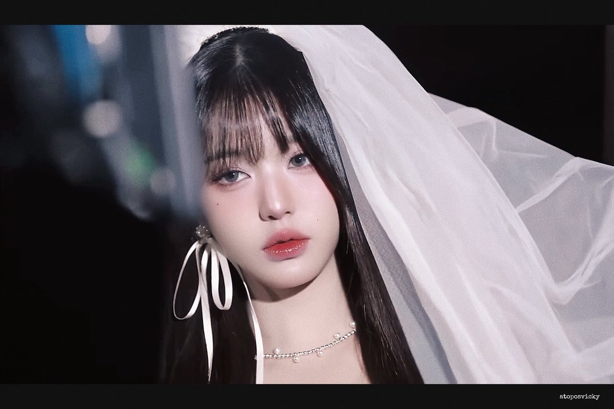 토끼장 tweet media