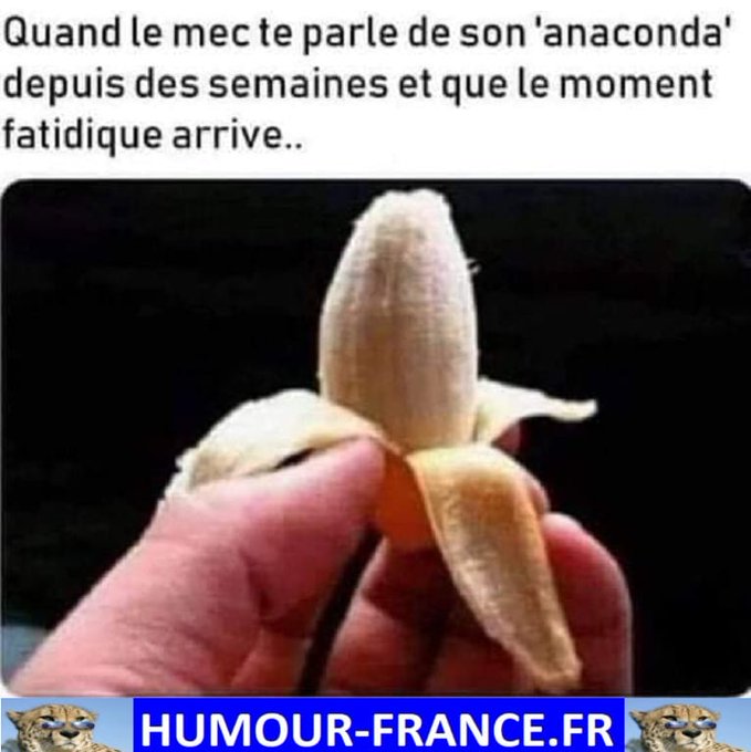 text alternatif