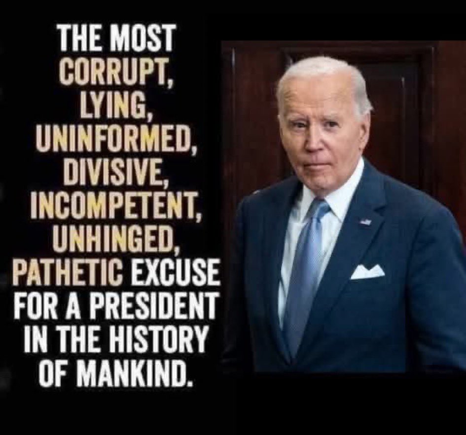 Brian H. Burgoyne🇺🇸🦅🗽🐘🦁 (@brianhburgoyne) on Twitter photo 