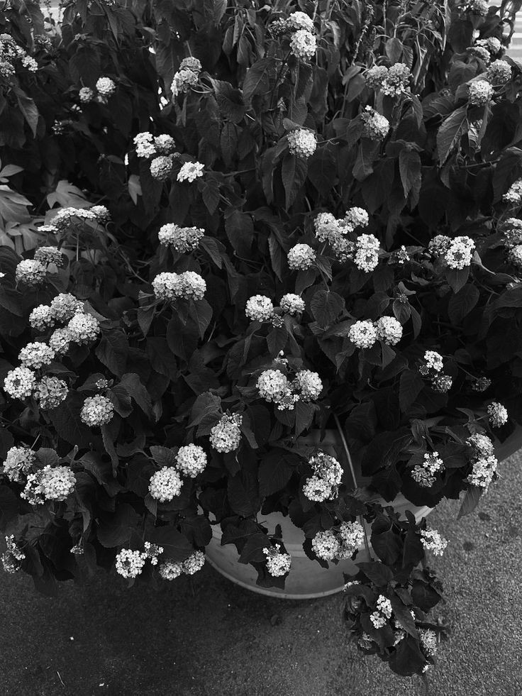 Marseille. tweet media