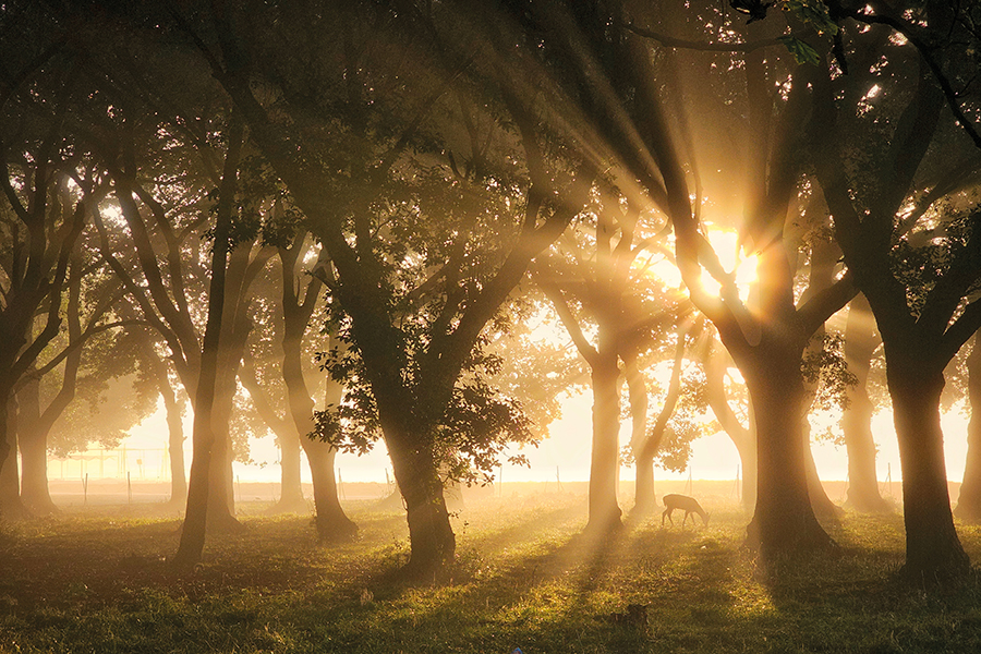 RTE_GUIDE's tweet image. The winter season of the @WeatherRTE Photo Competition is now open for entries!  

Your photo could appear as a backdrop on a TV Weather Bulletin or in the RTÉ Weather Photo Competition Calendar 2026 

Entries can be uploaded at rte.ie/weathercomp  

#rteguide #rteweather