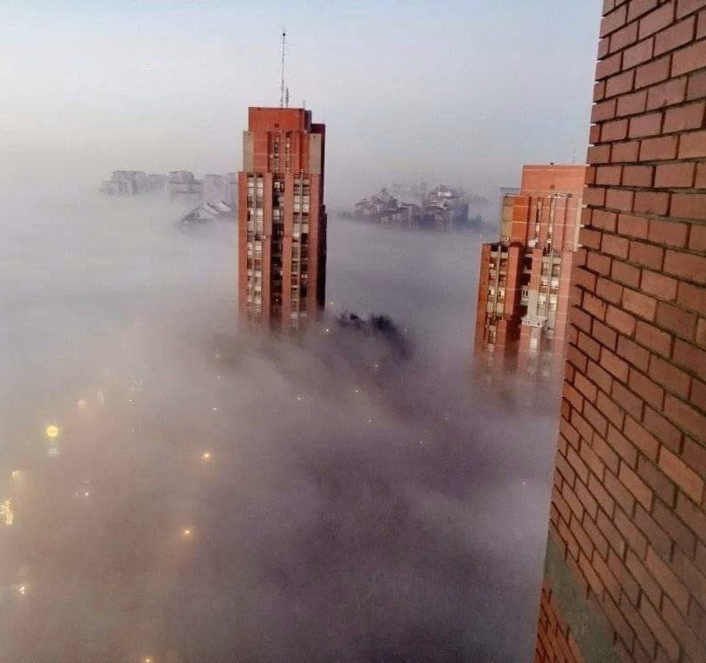 Zlatko Crnogorac tweet media