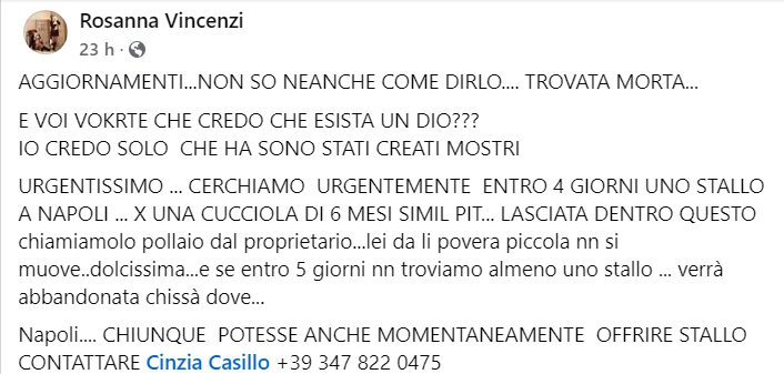 zampa_qua's tweet photo. 🌈💔Il suo nome si aggiunge a quello di tanti animali che oggi ancora non vengono tutelati come meritano. non ho fatto in tempo a pubblicare 😔.Comunque la AVETE UCCISA !! VOLETE STERMINARLI TUTTI ???SIETE SODDISFATTI ???cosa scriverei siete delle m....🤐 https://t.co/QaLqB57xZz