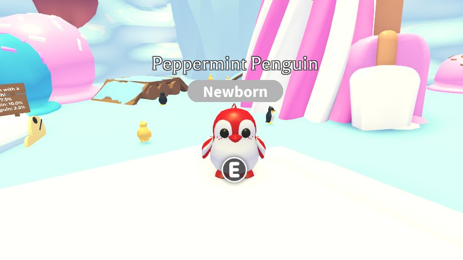 peppermint penguin giveaway!

rules:

follow me

like and retweet

ends in 9 days

kw:roblox robux rbx gw royale high adopt me mm2 rh rhd dims diamonds mfr nfr n m fly ride high tier set sets halo halos rare item items weapons mega neon amp pets fr f r weapon chromas

good luck!