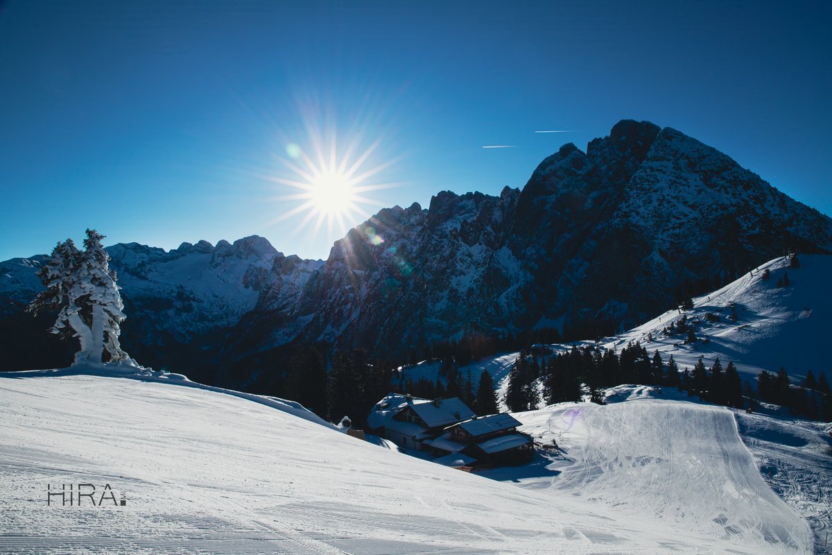 Hirami ⊗ tweet media