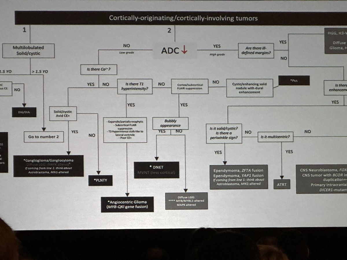 Dr. Vanessa Rameh from <a href="/boschildrensrad/">Boston Children's Radiology</a> provides insights on cortically based/cortical involving brain tumors - a helpful approach for narrowing the differential! <a href="/vanessarameh/">Vanessa Rameh, MD</a> #ASPNR25 <a href="/MarkMamloukMD/">Mark Mamlouk</a> <a href="/MirskyDavid/">David Mirsky</a> <a href="/laura1127md/">Laura Hayes</a>