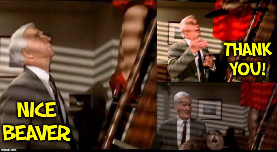TheCrimsonPete's tweet photo. Oh come on Archers scriptwriters. A plot line about beavers and no-one sniggers or references the famous Naked Gun scene?  #thearchers #NiceBeaver #BBCRadio4 https://t.co/1WrEHxM6Sj