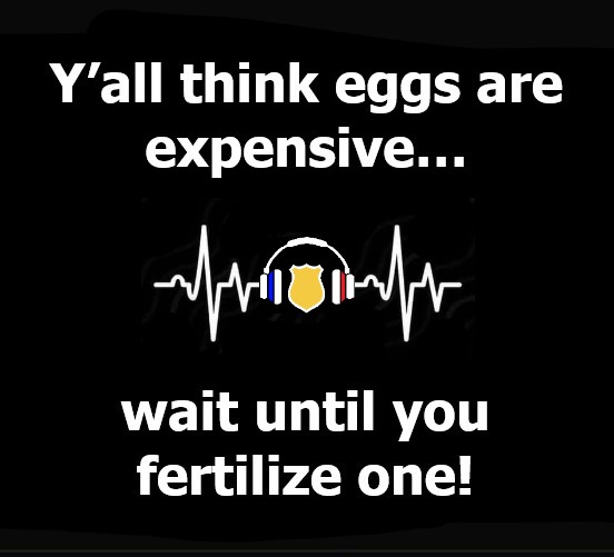 ThinLineRockStn's tweet photo. 🥚😂 Keep the dad jokes coming and the music rocking with The Thin Line Rock Station! 🎶 #ExpensiveEggs #DadJokes #thethinlinerockstation
Stay safe and keep rocking! 🎵🔥 https://t.co/gZOZgzyVro