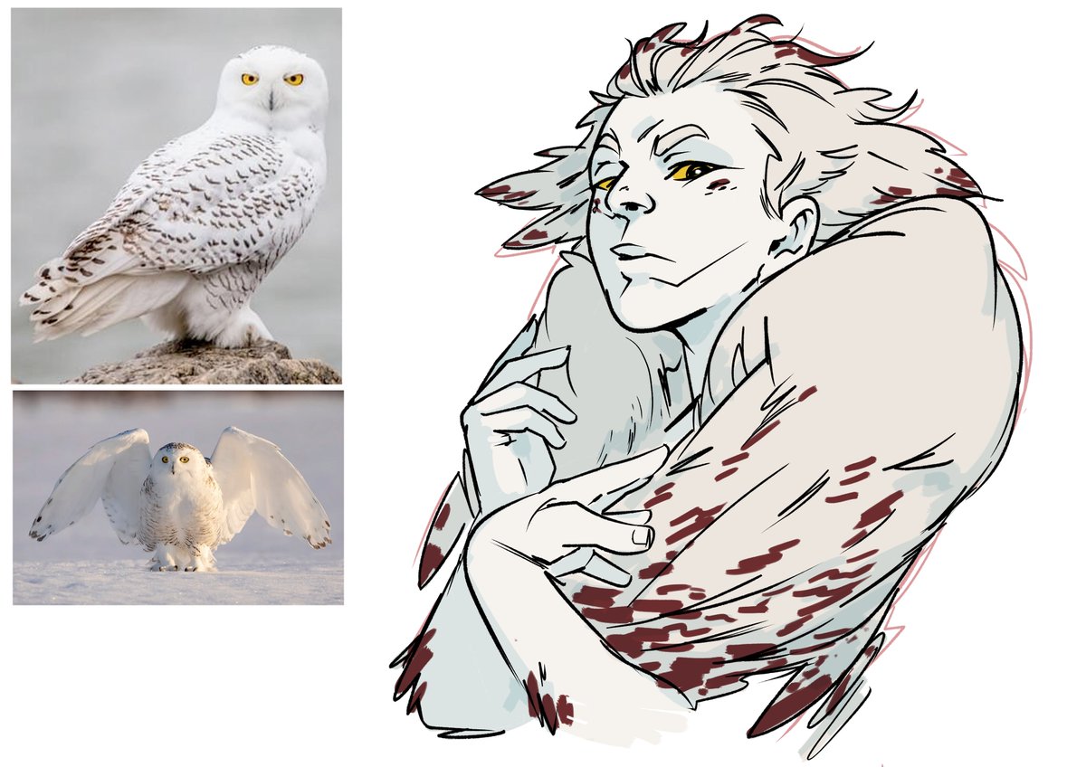 Sassy snowy owl #characterdesign #gijinka