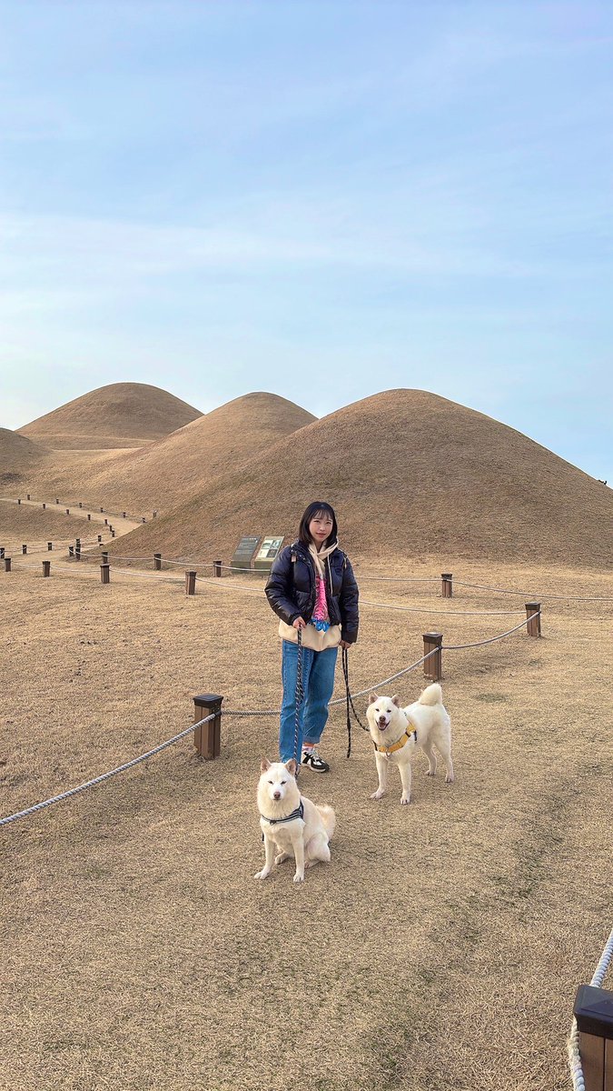 창녕 고분지 다녀옴.
(반려견 동반 가능함)
근데 저 왜케 억울한 웃음을 짓고 있나요...