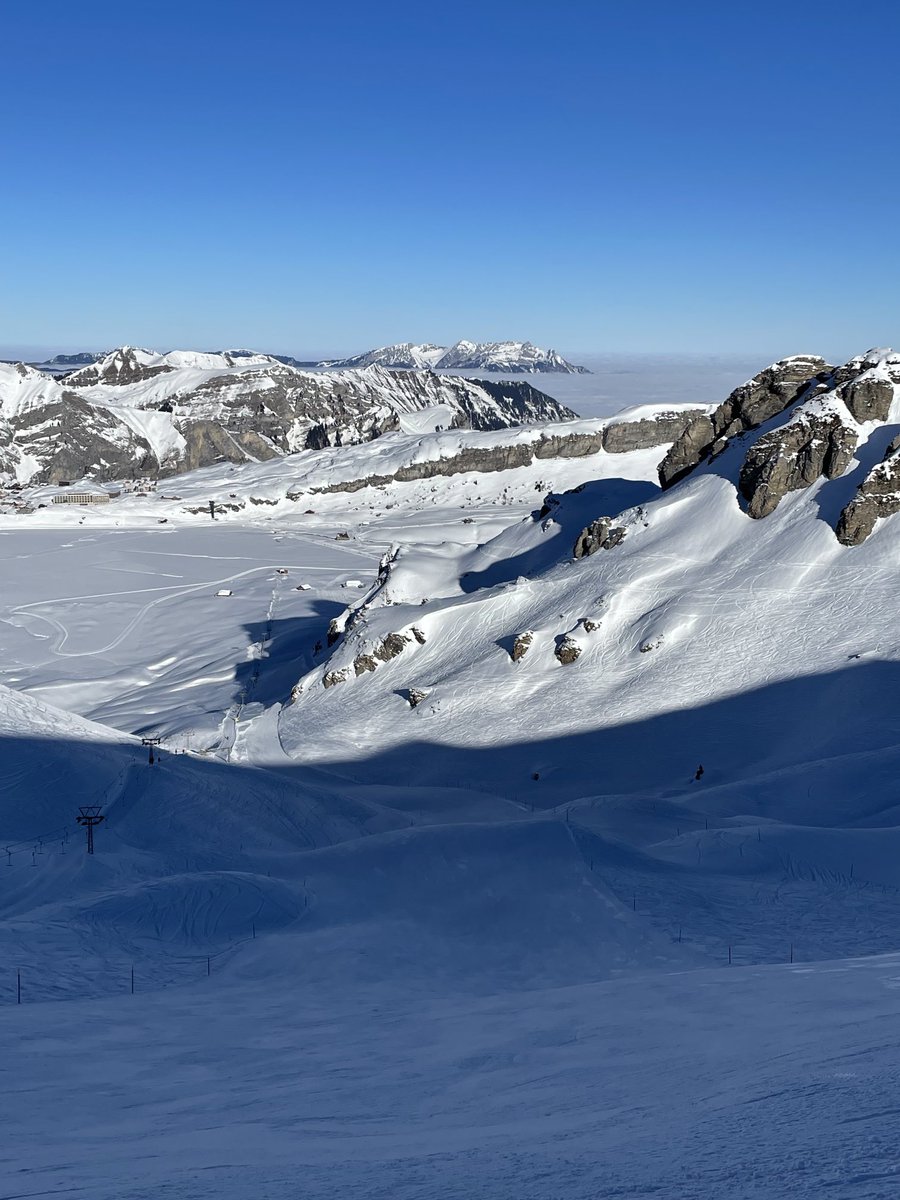 Niklaus Bleiker tweet media