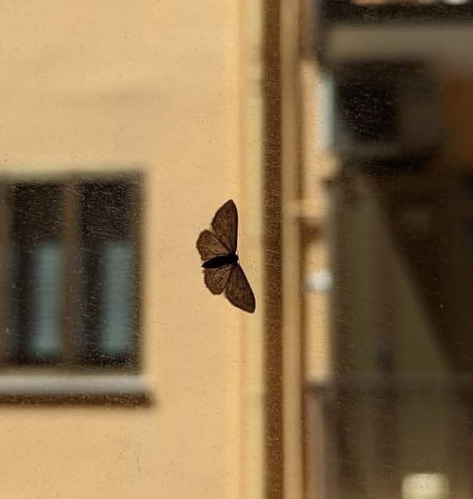 میں اگر ترک تعلق کا ارادہ کر لوں _______!
میرے اندر سے مکرر کی صدا آ تی ہے🖤