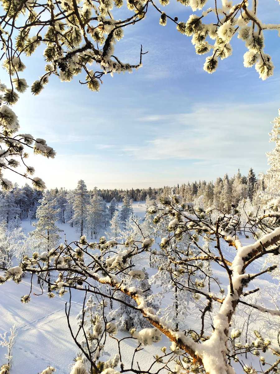 OnePlus Suomi tweet media