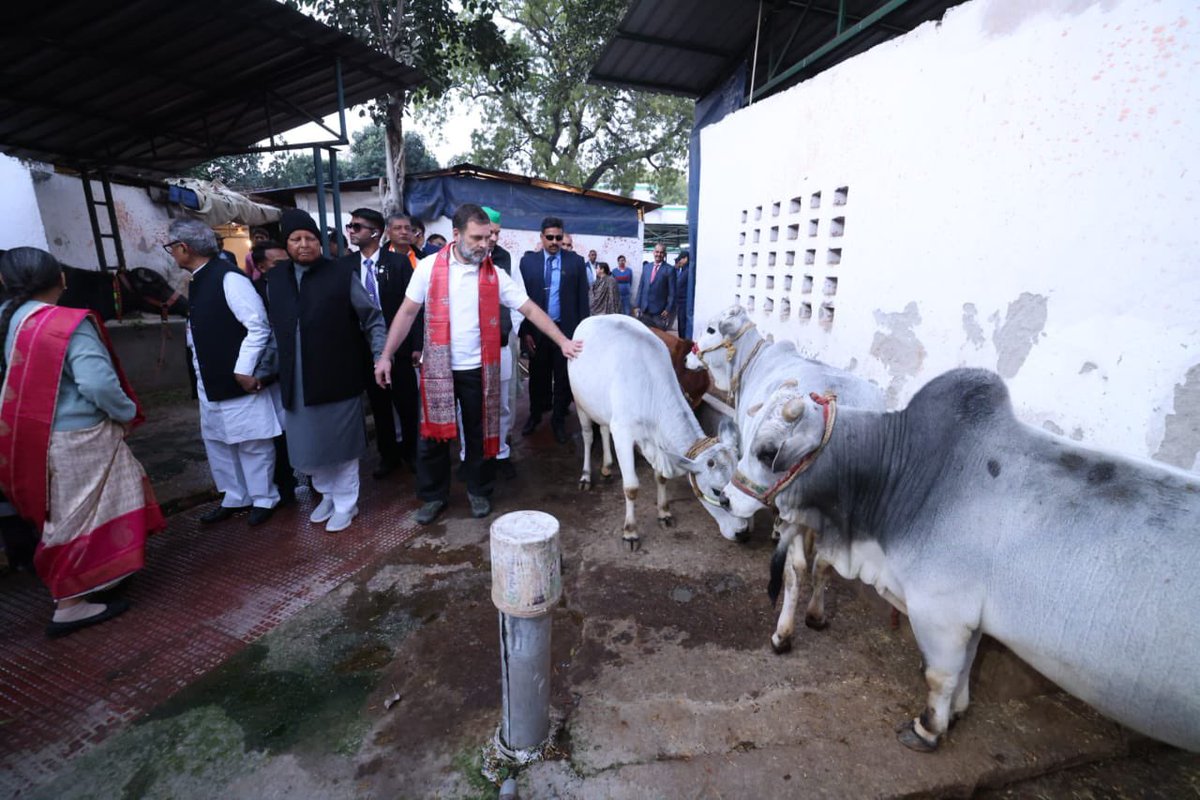 yadavtejashwi's tweet photo. बड़े भाई @RahulGandhi जी ने पटना आगमन पर  हमारे आवास स्थित गौशाला में गौमाता तथा मंदिर का भी दर्शन किया। #TejashwiYadav https://t.co/5cFiFt13vF