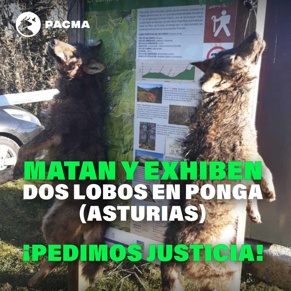 PACMA tweet media