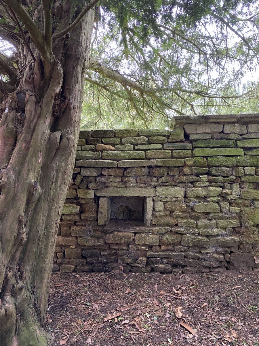 Zara Handley tweet media