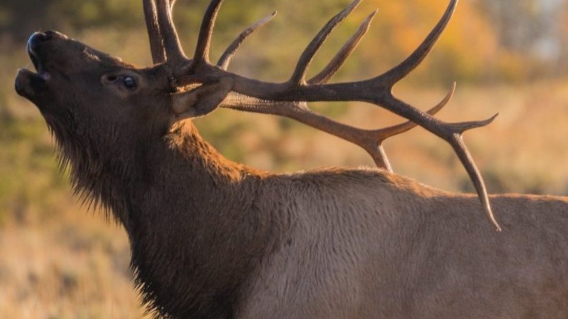 SCI Lansing tweet media