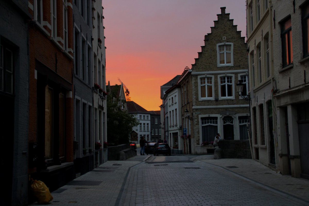 Aidan McQuade 🇪🇺 tweet media