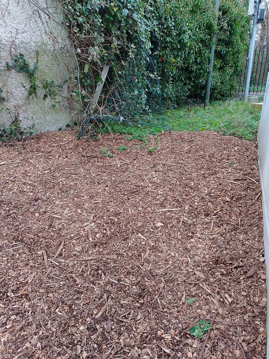 DonabateComCentre (@donabatecomcen) on Twitter photo Check out our before and after pictures thanks to Fingal County Council Environmental and Climate Action Department as part of their Anti Litter Anti Graffiti fund which showed great collaboration with community groups. Watch our community garden grow. ๐
<a href="/Fingalcoco/">Fingal County Council</a> Check out our before and after pictures thanks to Fingal County Council Environmental and Climate Action Department as part of their Anti Litter Anti Graffiti fund which showed great collaboration with community groups. Watch our community garden grow. ๐
<a href="/Fingalcoco/">Fingal County Council</a>