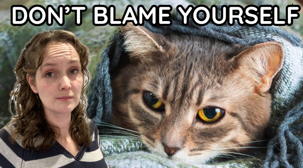 Didn't know your cat was ill? Don't blame yourself! youtu.be/4CIHVRm-sWg?si… #catvideo #catbehaviour #poorlycat