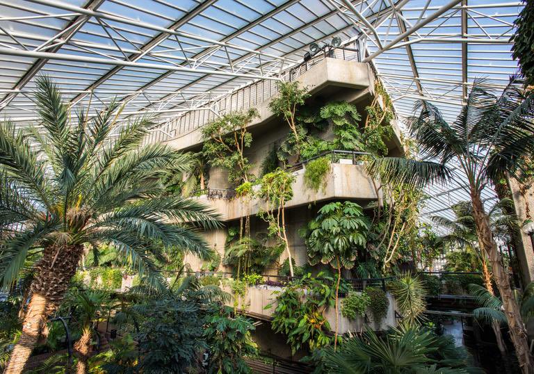 The Brutalist architecture and greenery of the Barbican Conservatory 

📍London, England