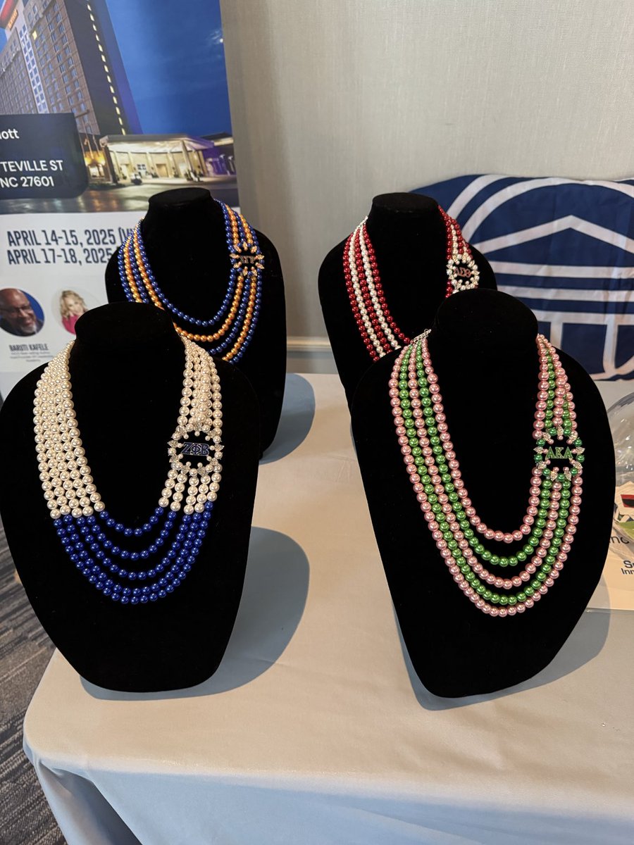 VAABSE_org's tweet photo. Look at what @Successfulinc is raffling off. Let’s go sororities!!! #VAABSE2025 #SignatureSponsor https://t.co/92kQTIUwIm