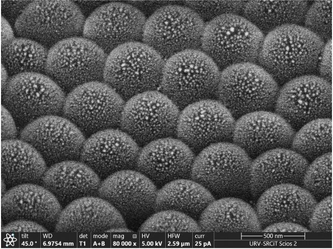Very excited to share our 1st paper 2025 on Designing Hierarchical Nano-Convex Polymer Lattice SERS Platforms via Template Replica-Assisted Nanoimprinting published in View. Congratulations to all co-authors!
doi.org/10.1002/VIW.20…
<a href="/Abel_Santos1/">Abel Santos Alejandro</a> <a href="/universitatURV/">Universitat Rovira i Virgili</a> <a href="/COST_NETPORE/">NETPORE</a>